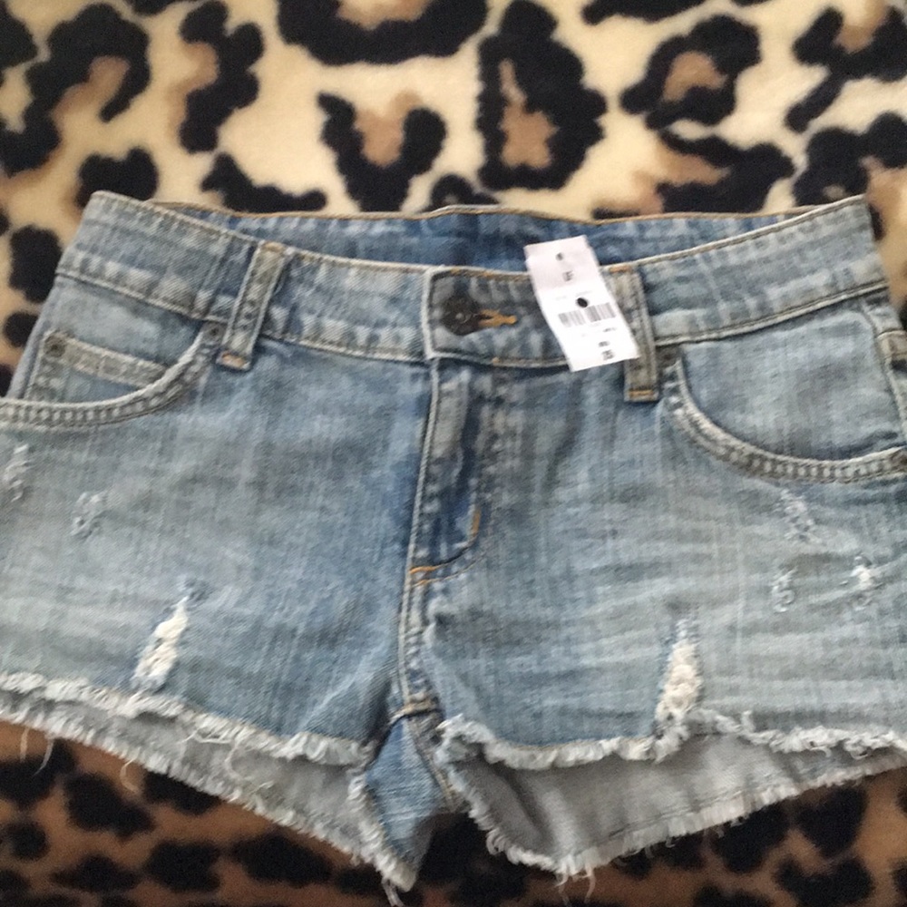 CARMAR Distressed Shorts 25